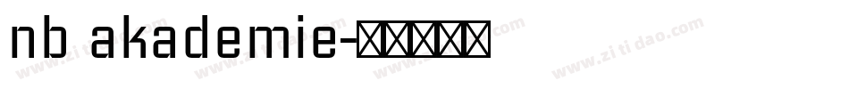 nb akademie字体转换